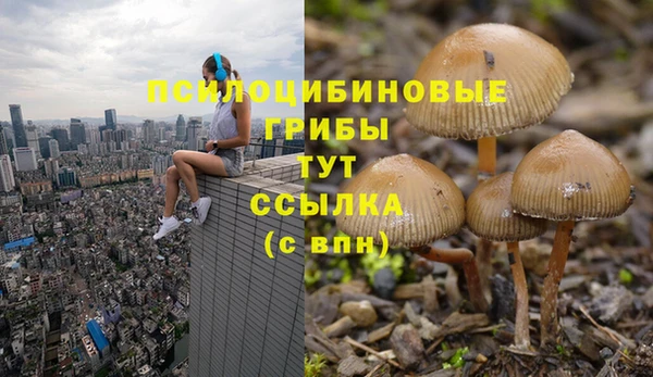меф VHQ Медвежьегорск