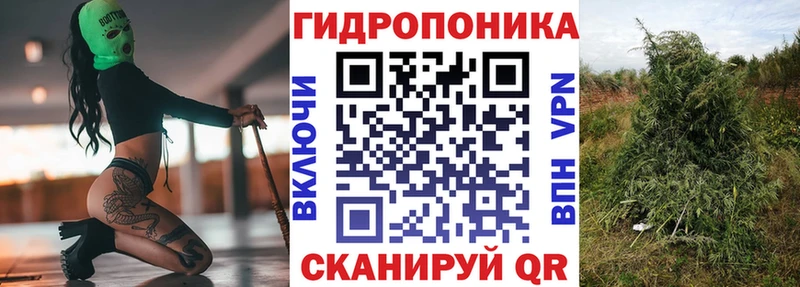 даркнет Telegram  Усть-Катав  Шишки марихуана White Widow 